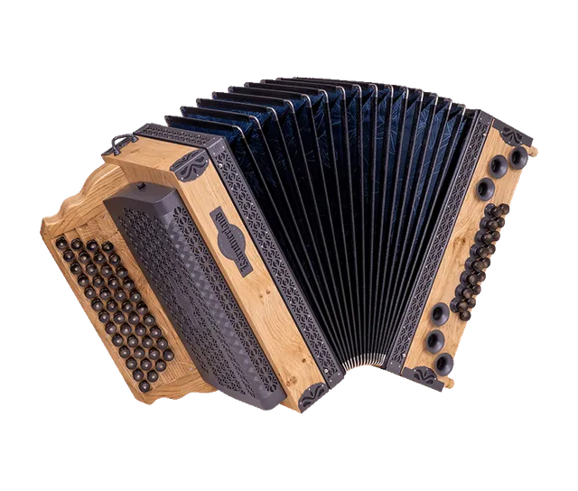original-k-rntnerland-steirische-harmonika-k-nigseiche-gold image 1