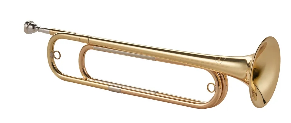 k-hnl-hoyer-eb-kavallerie-trompete-modell-1201-fanfare-trompete image 1
