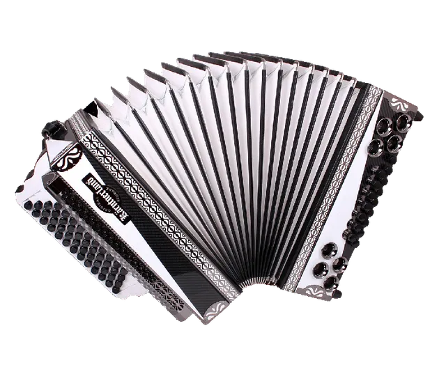 original-k-rntnerland-steirische-harmonika-alpenvision-carbon-wei-f-b-es-as image 1