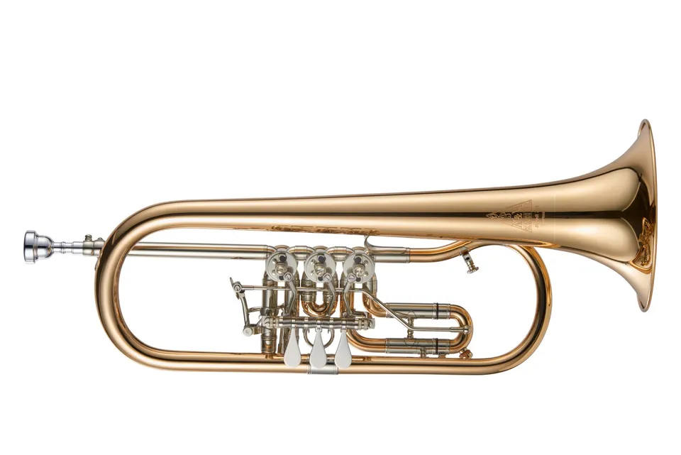 k-hnl-hoyer-modell-7-11-b-fl-gelhorn-nr-226-21-goldmessing image 1