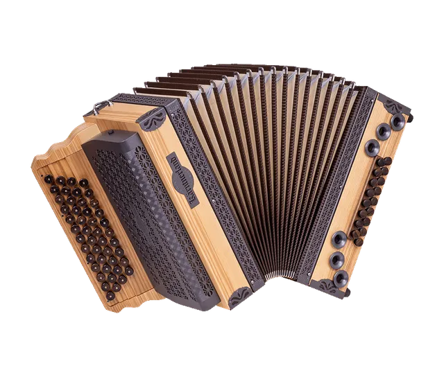 original-k-rntnerland-steirische-harmonika-edelholz-kernesche image 1