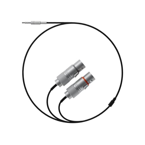 teenage-engineering-field-audio-cable-3-5-mm-auf-2x-xlr-female-kabel image 2