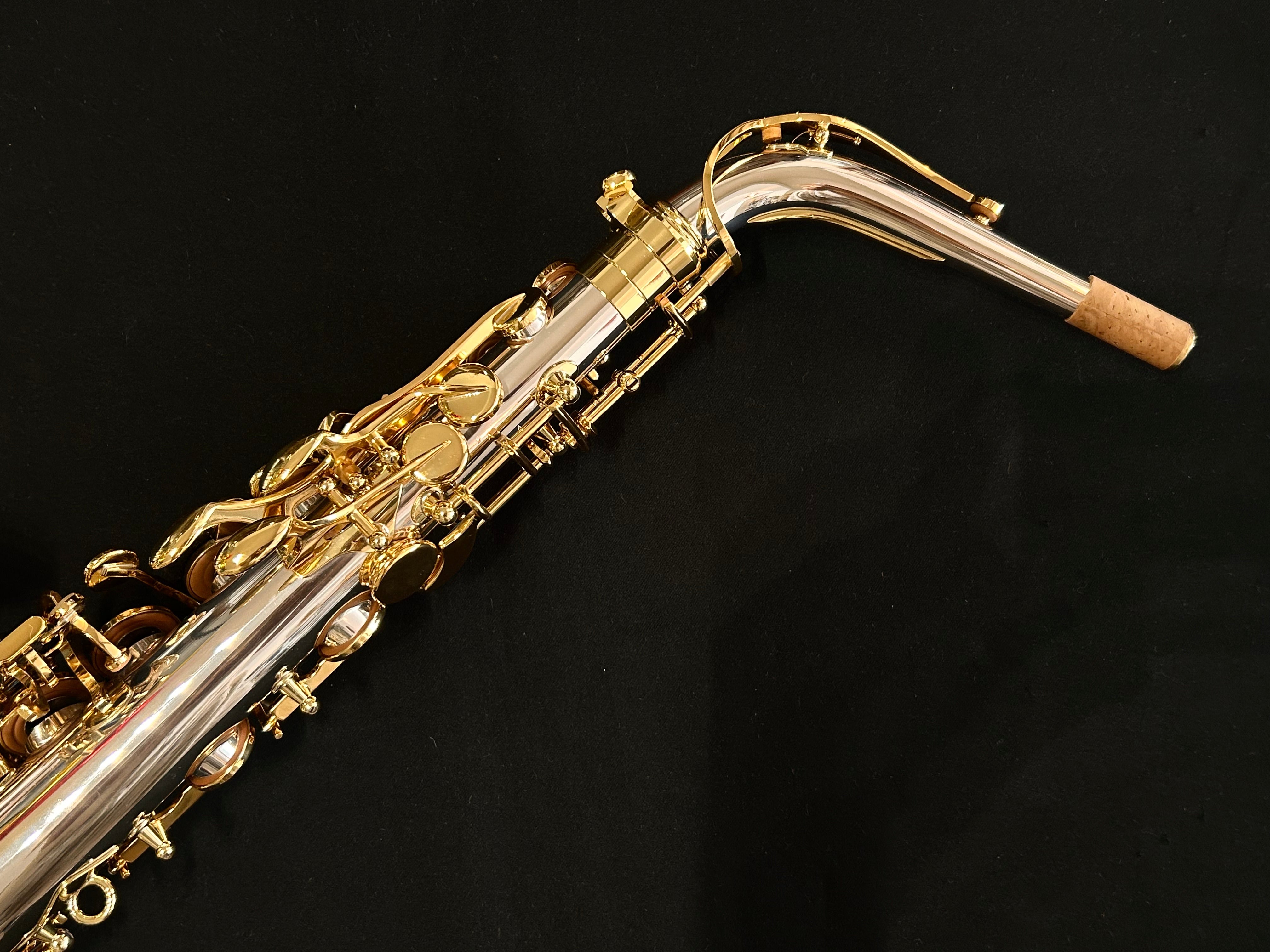 henri-selmer-paris-serie-iii-altsaxophon-massivsilber-mit-bam-case image 5
