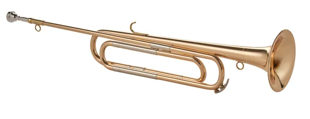 k-hnl-hoyer-es-fanfare-modell-glier-goldmessing-fanfare-650-mm image 1