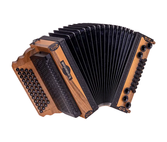 original-k-rntnerland-nuss-elegance-steirische-harmonika-aus-nussholz image 1
