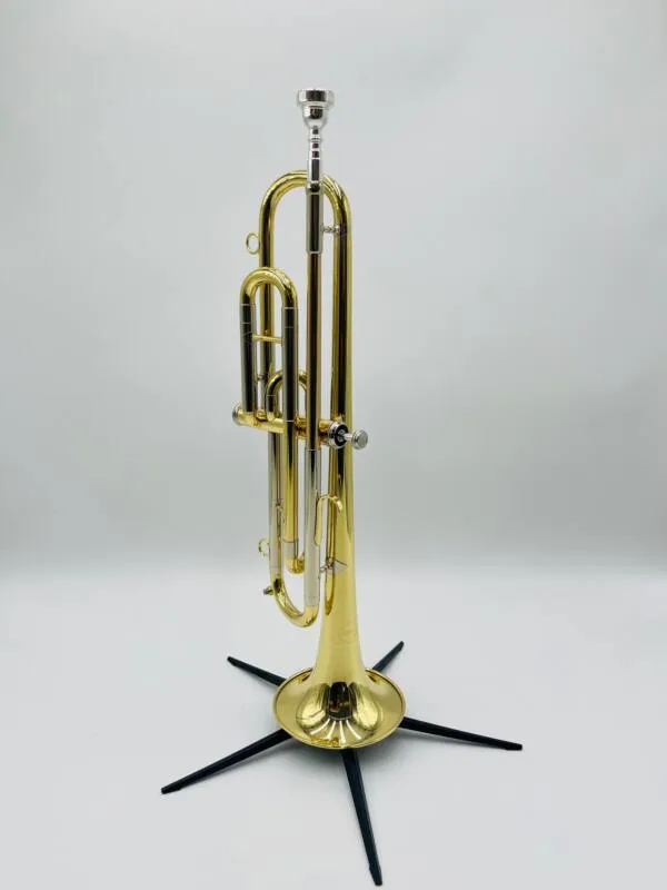 k-hnl-hoyer-b-es-fanfare-mit-1-perinetventil-b-ware-abverkauf image 1