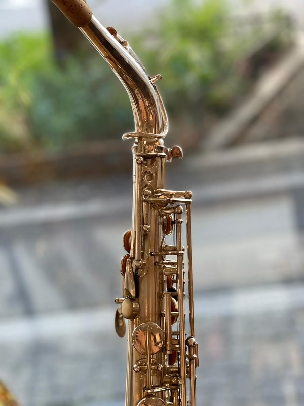 henri-selmer-paris-super-series-alto-saxophon-cigar-cutter-1932-n-162xx-versilbe image 5