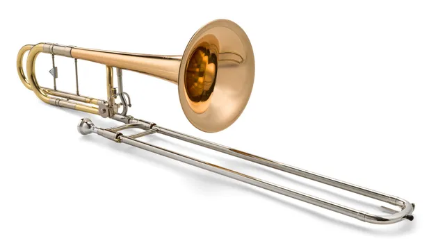 k-hnl-hoyer-563-1-b-f-bassposaune-goldmessing-240-mm-offene-bauweise image 1