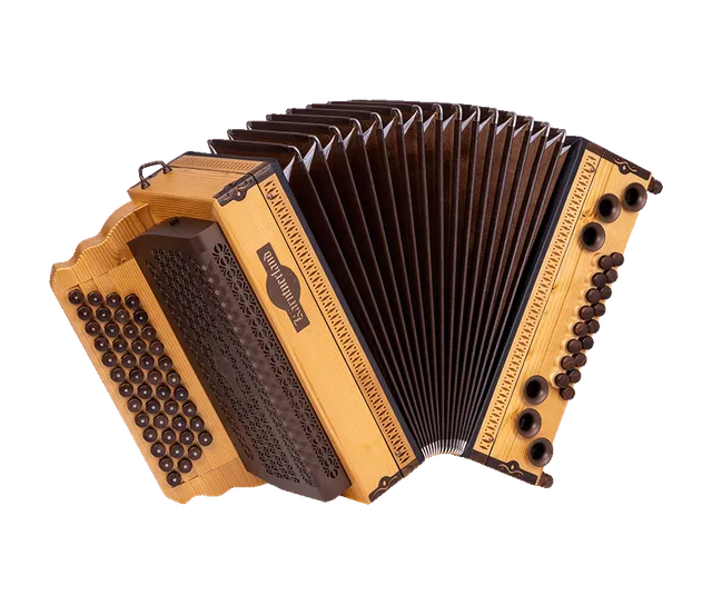 original-k-rntnerland-steirische-harmonika-fichte-selection-platin image 1