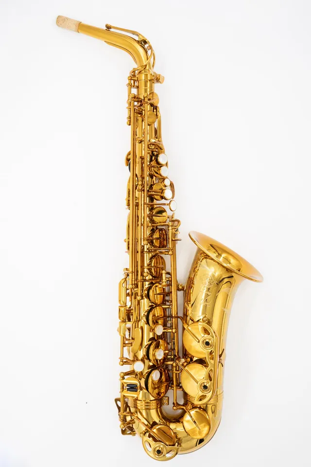 henri-selmer-paris-r-f-rence-54-alt-saxophon-rewind-occasion-2008-nr-722944 image 1