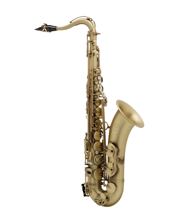 henri-selmer-paris-reference-54-altsaxophon-tenorsaxophon-mark-vi-design image 1