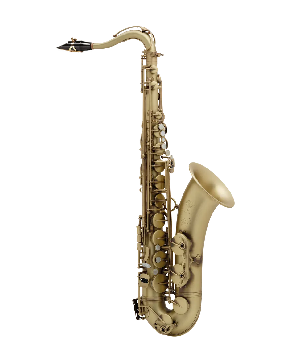 henri-selmer-paris-reference-54-altsaxophon-tenorsaxophon-mark-vi-design image 1